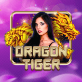 Dragon Tiger nino gaming apk game